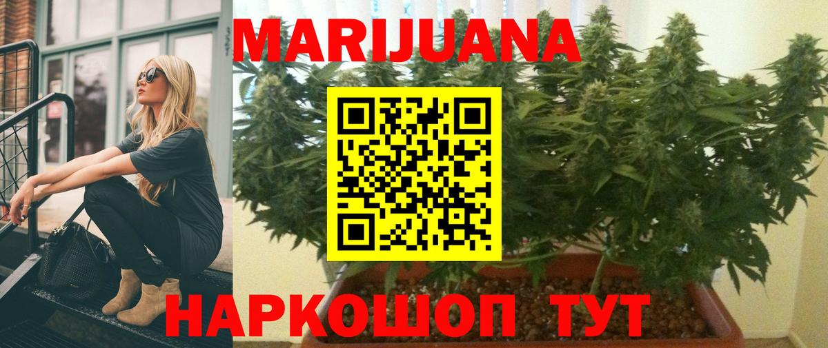 МАРИХУАНА SATIVA & INDICA Выборг